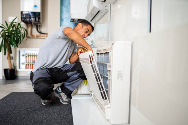 Best Air Duct Sanitizing Services  in Roseville, OH