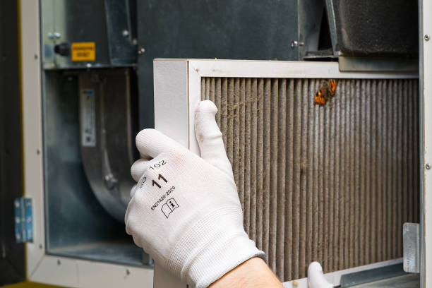 Best HVAC System Cleaning  in Roseville, OH